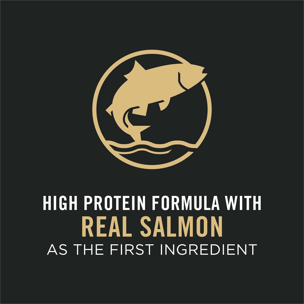 High Protein Salmon & Rice Dog Food 17 lb Bag P60412