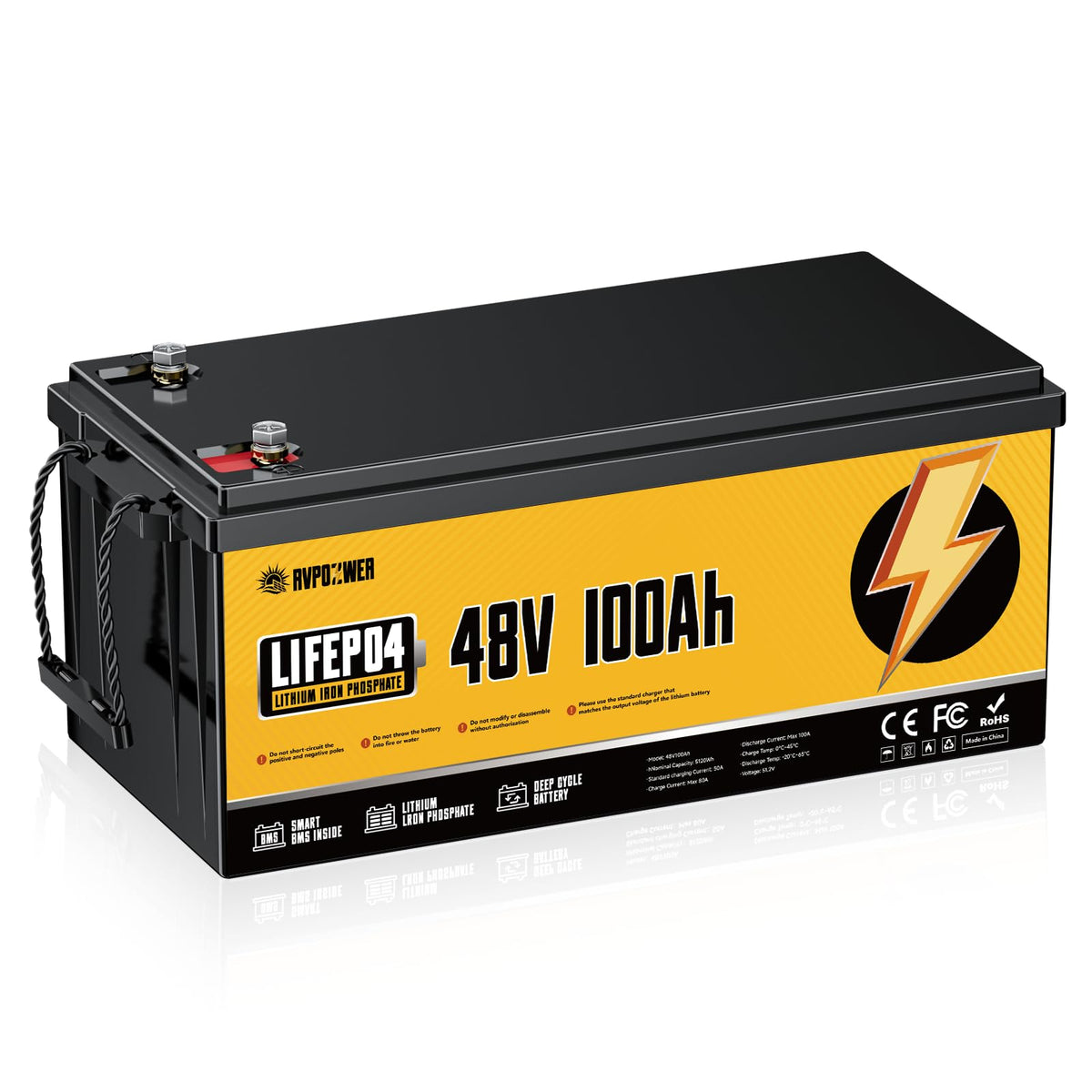 48V 100Ah LiFePO4 Battery with 100A BMS P334496