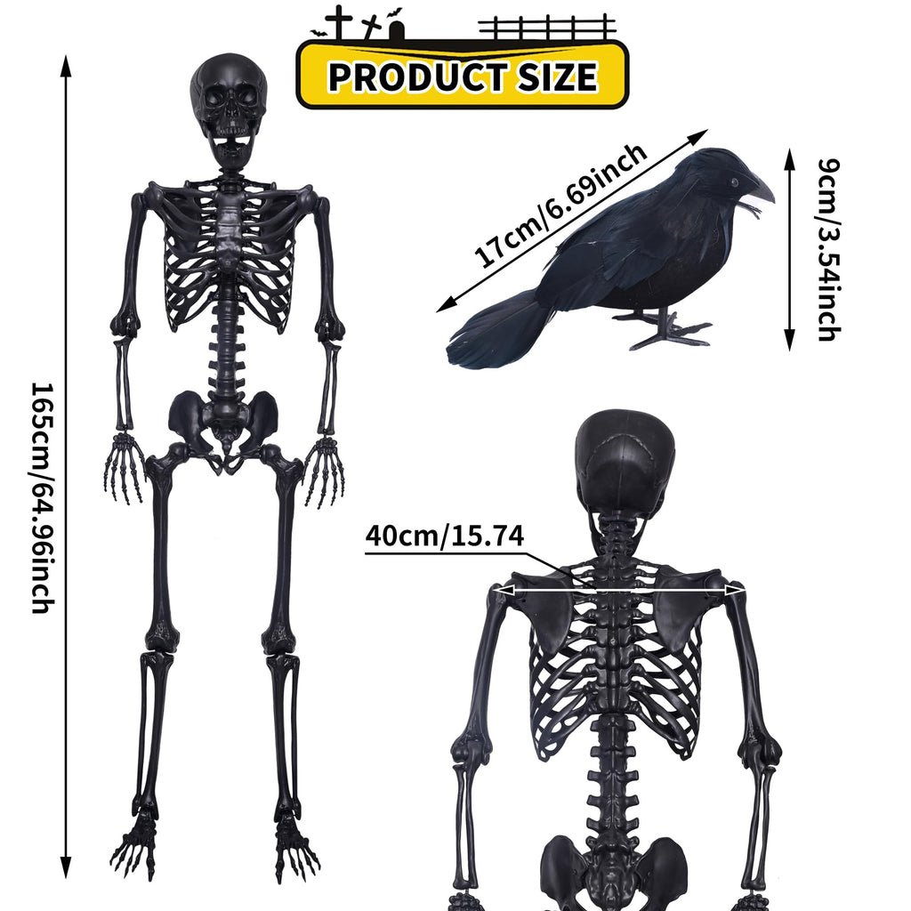 5.4Ft Posable Skeleton with Movable Joints and 2PC Black Feathered Crows S544308