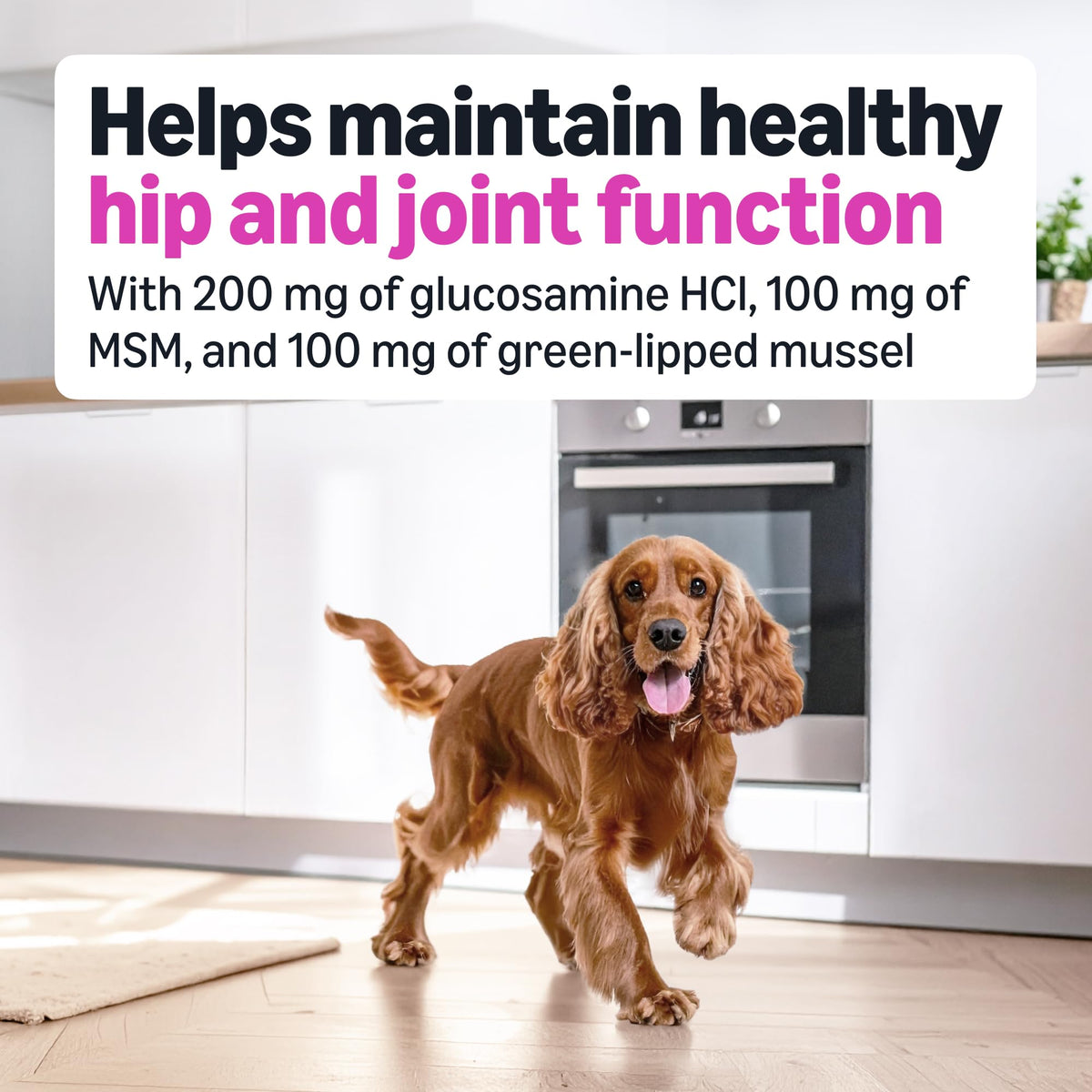 Dog Hip & Joint Supplement Chews with Glucosamine, MSM, Vitamin C, Duck Flavored, 120 Count A1326