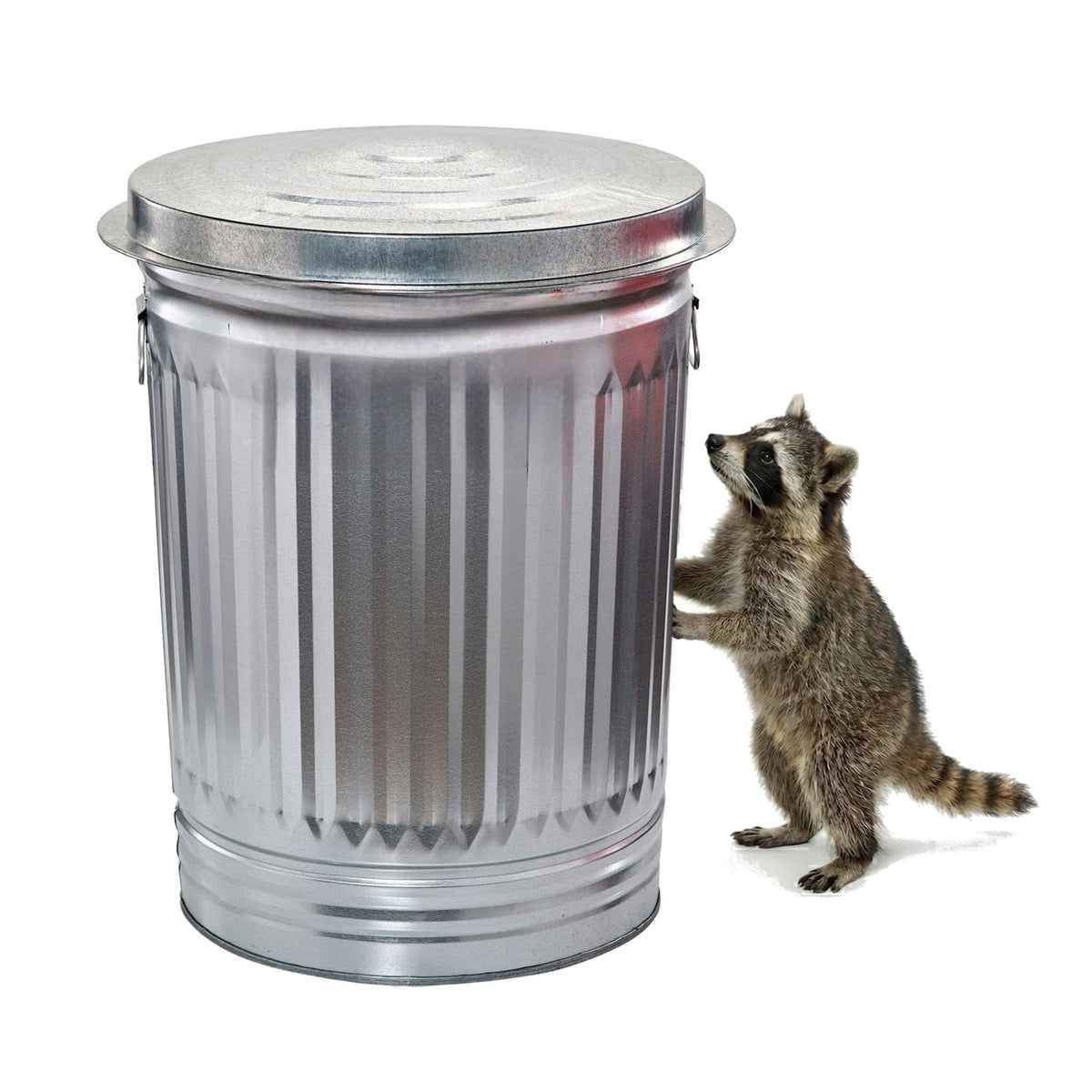 31 Gallon Galvanized Steel Locking Lid Trash Can N895680