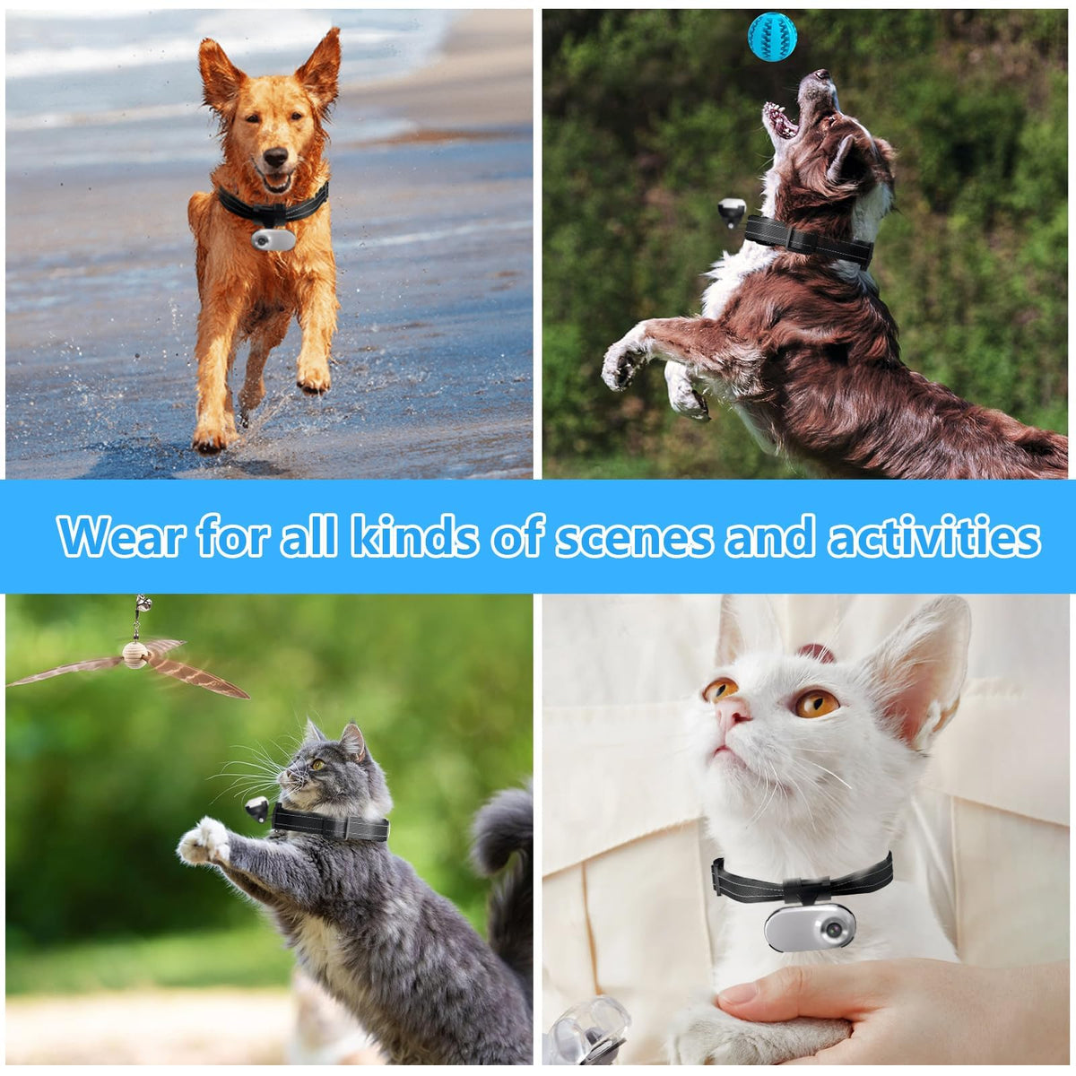 1080P Wireless Mini Pet Camera Collar X361