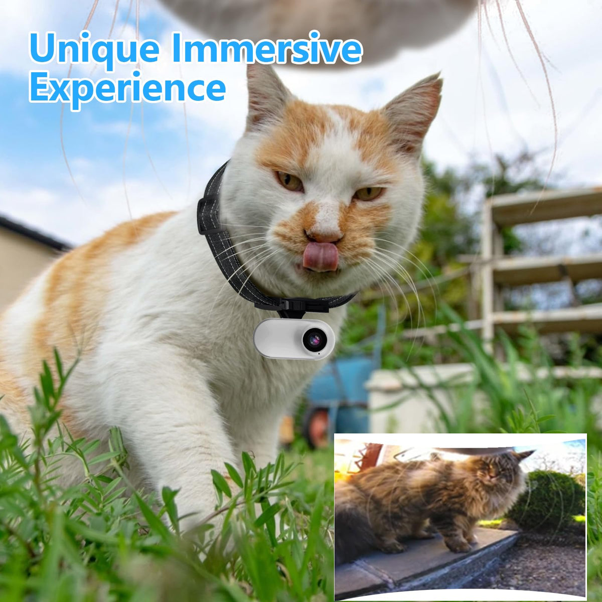 1080P Wireless Mini Pet Camera Collar X361