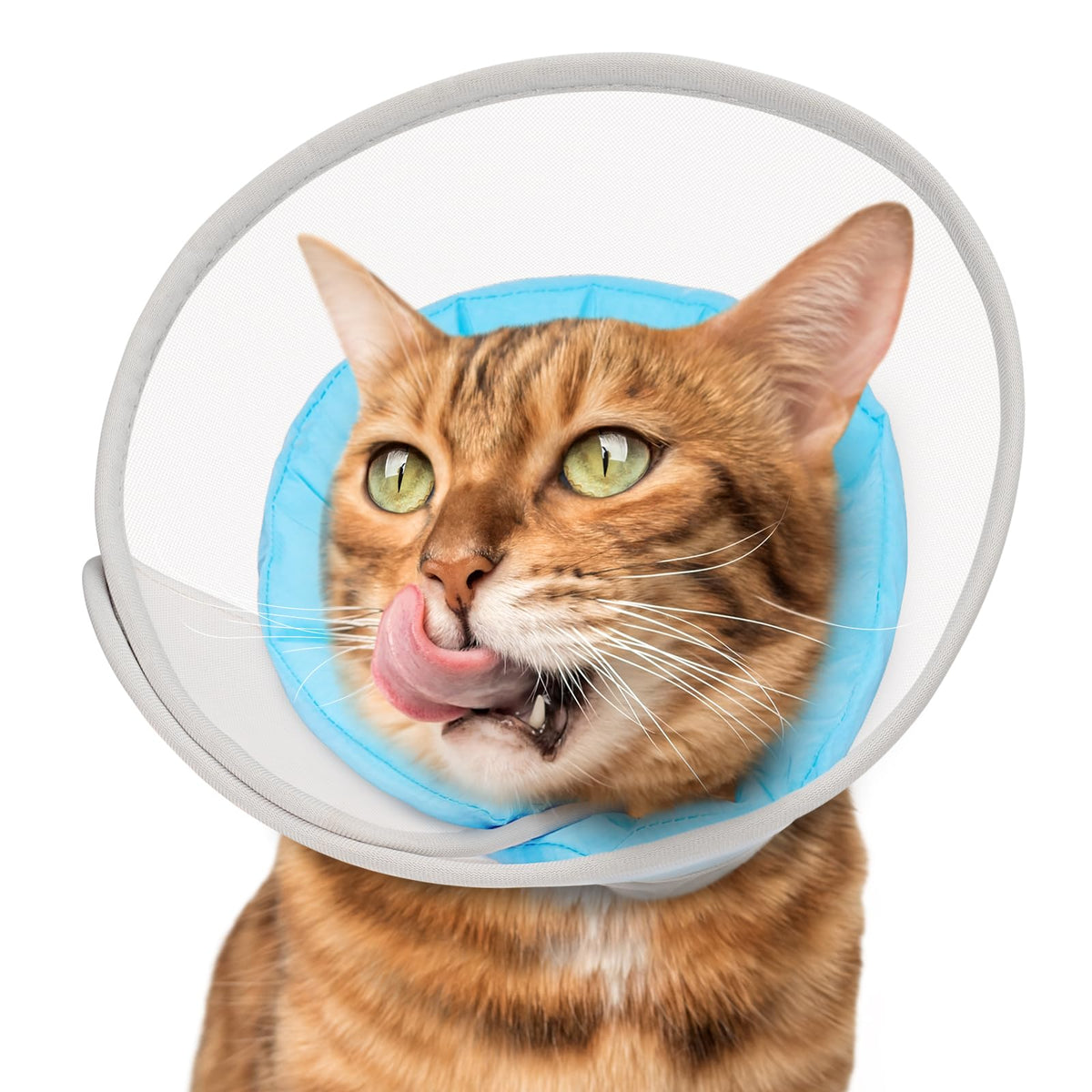 Soft Waterproof Mesh Cat Recovery Cone Collar H11310
