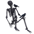 5.4Ft Posable Skeleton with Movable Joints and 2PC Black Feathered Crows S544308