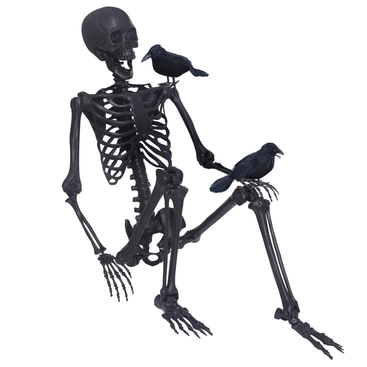 5.4Ft Posable Skeleton with Movable Joints and 2PC Black Feathered Crows S544308