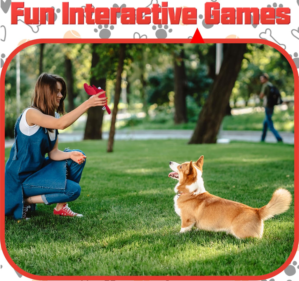 Plush Dog Toy N783672