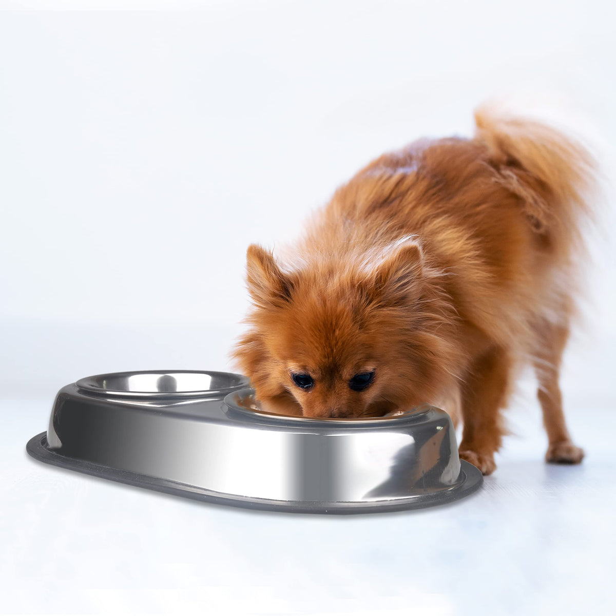 Stainless Steel Double Dish Food And Water Bowl 16 OZ U198
