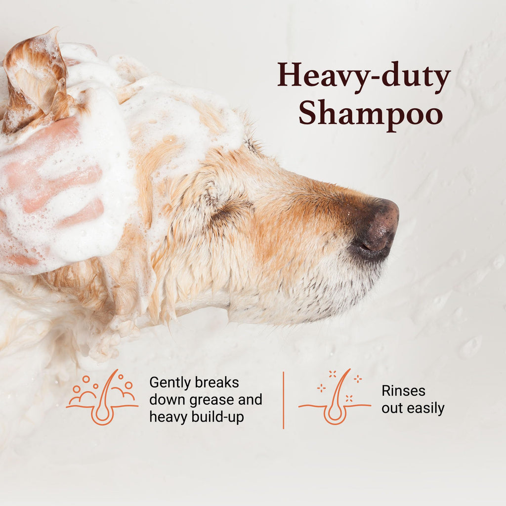 Dog Shampoo Chamomile Extracts 1 GAL A8401