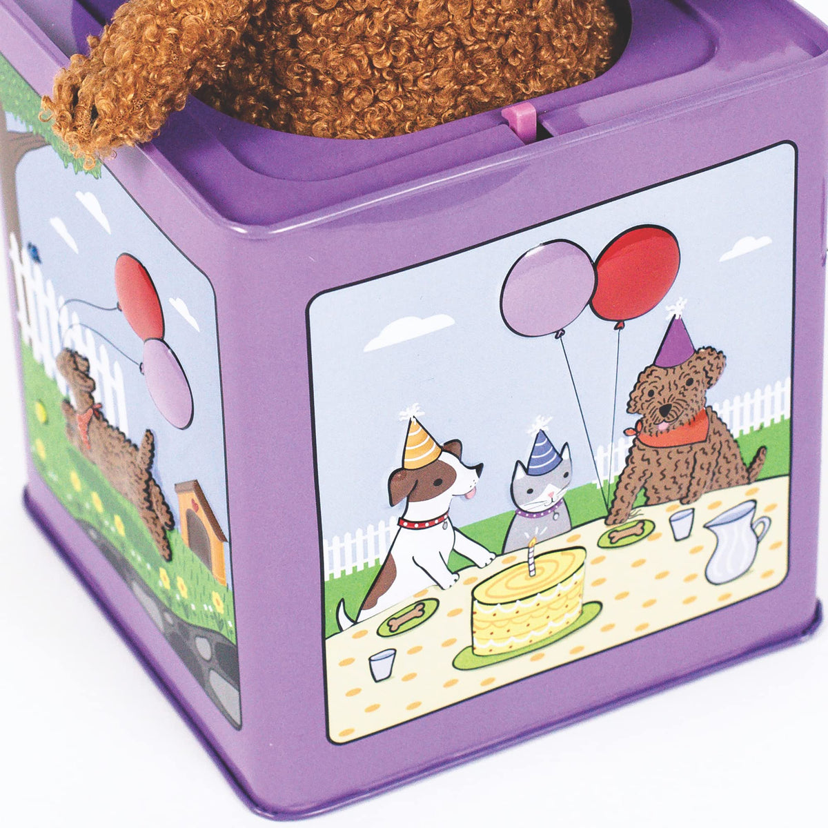 Birthday Puppy Jack-in-the-Box Toy B322
