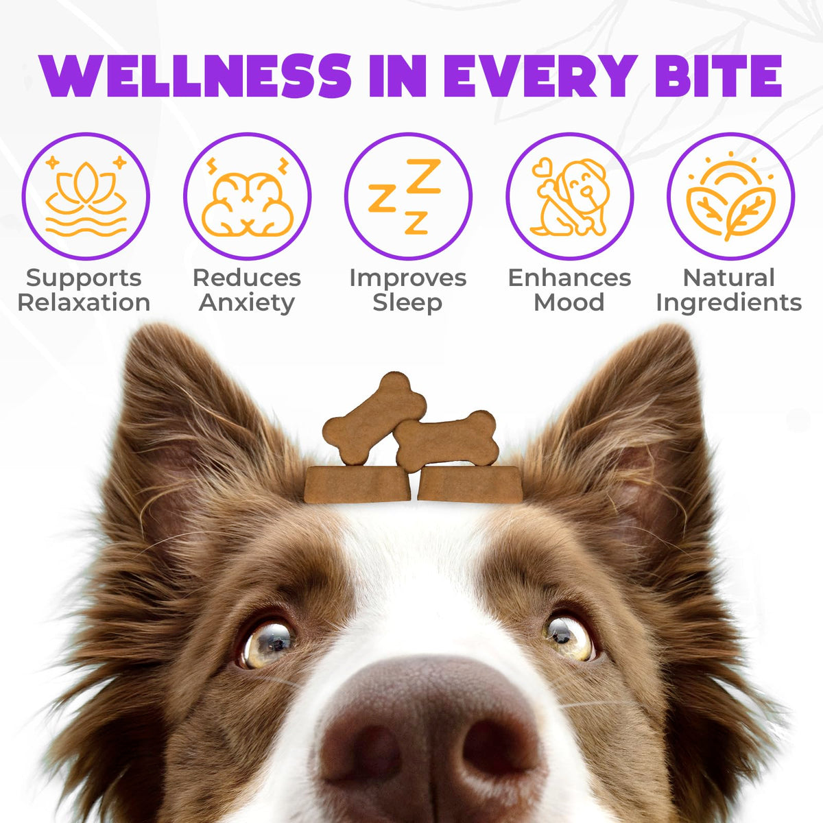 Chicken Flavor 60 Count Calming Chews for Dogs F53805