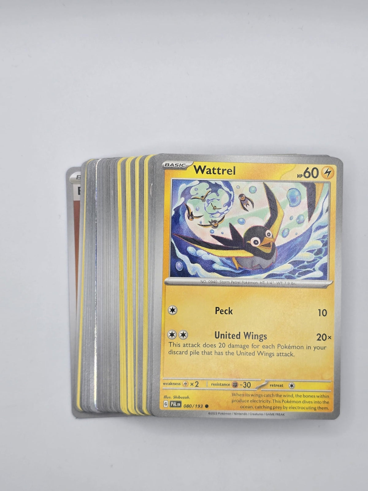 Pokemon TCG Random Cards 50 Cards Y244
