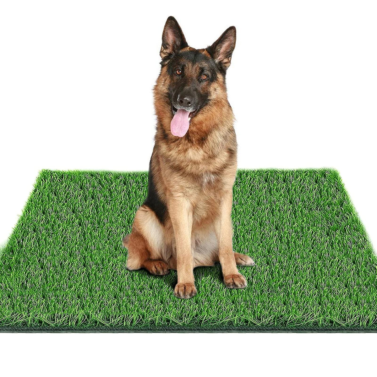 39.3 in X 31.5 in Reusable Artificial Grass Pad for Dogs L421