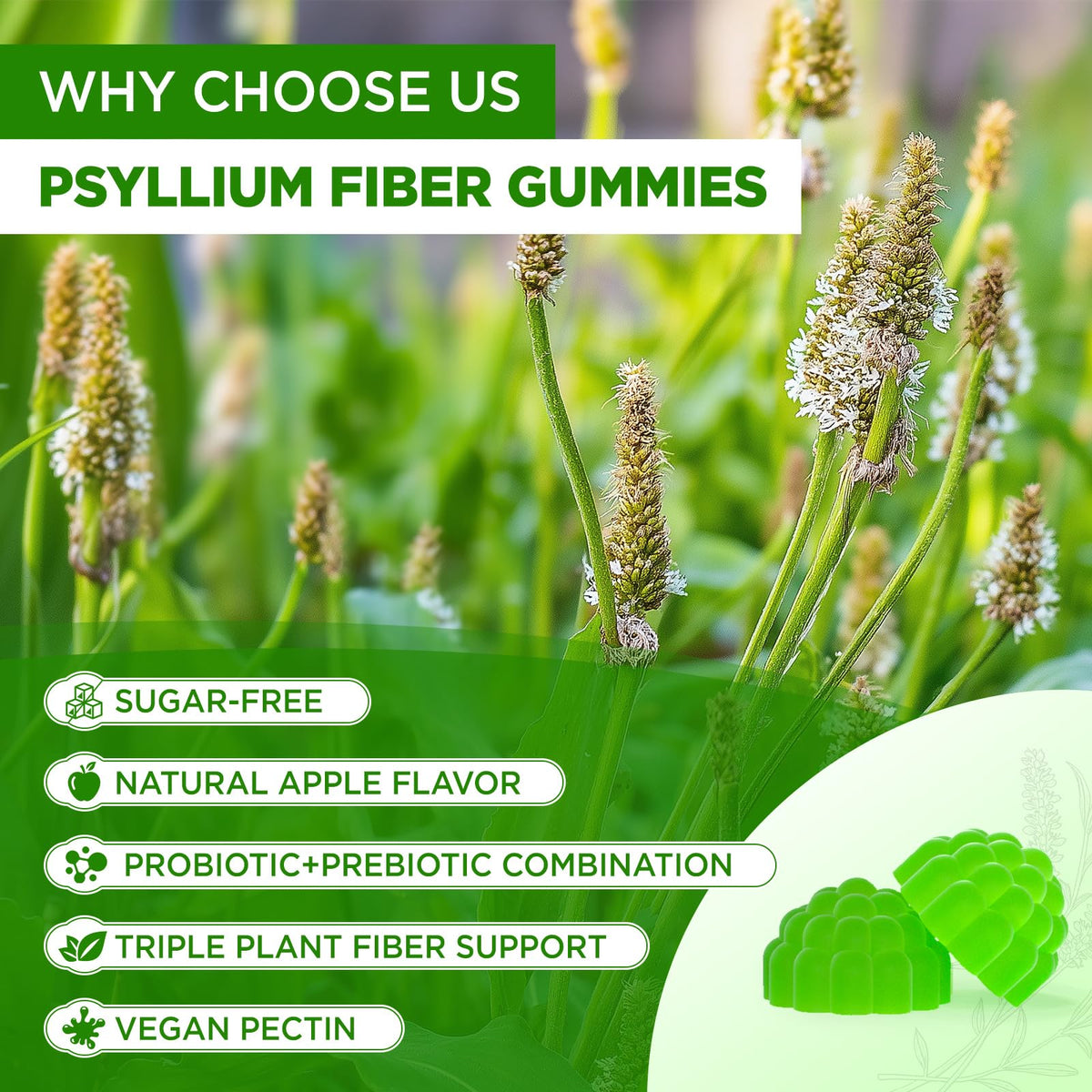 1500mg Psyllium Husk Fiber Gummies with Probiotics, Inulin, Chia Seed, Sugar Free, 60 Chewable E848957