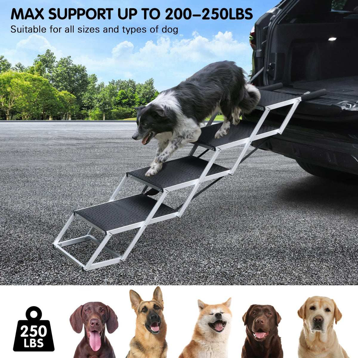 4-Step Non-Slip Pet Stairs O5405